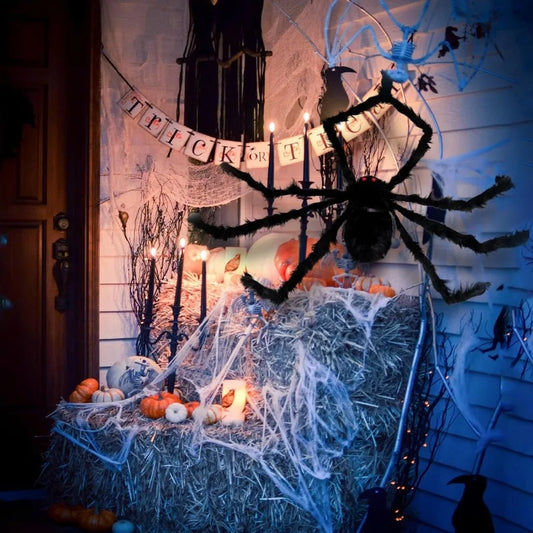 Spooky Halloween Spider