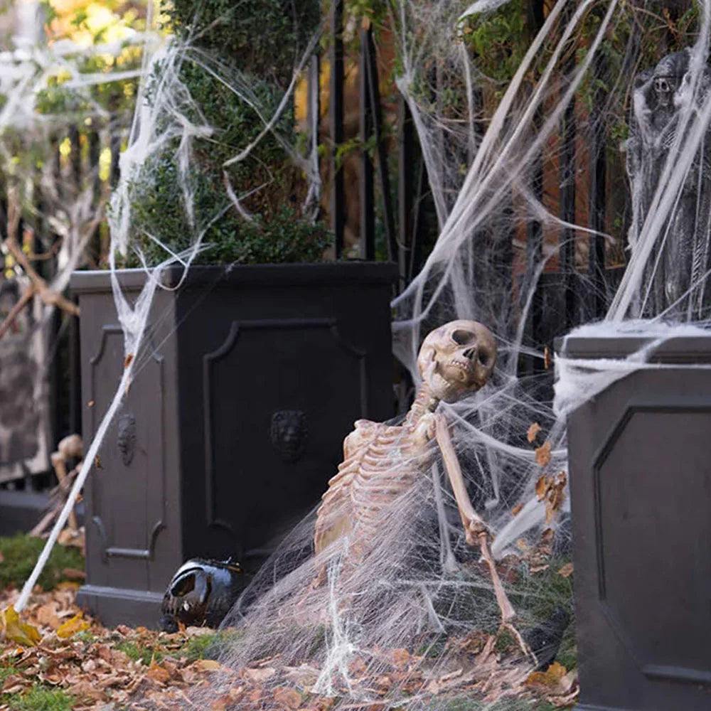 Halloween Spider Web