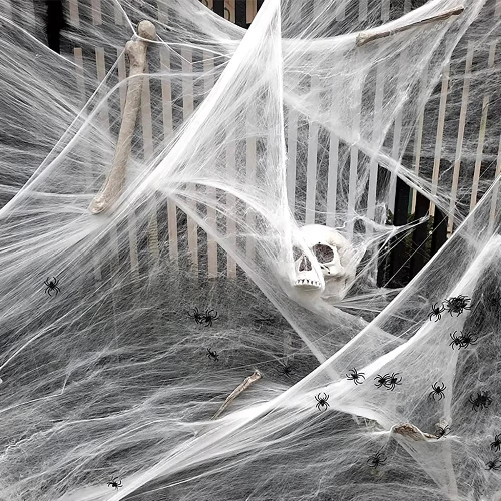 Halloween Spider Web