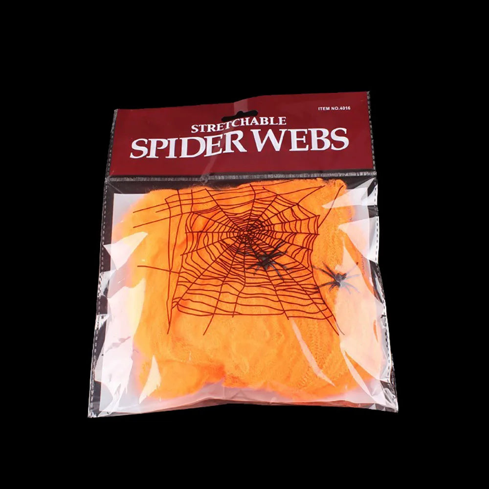 Spooky Spider Web
