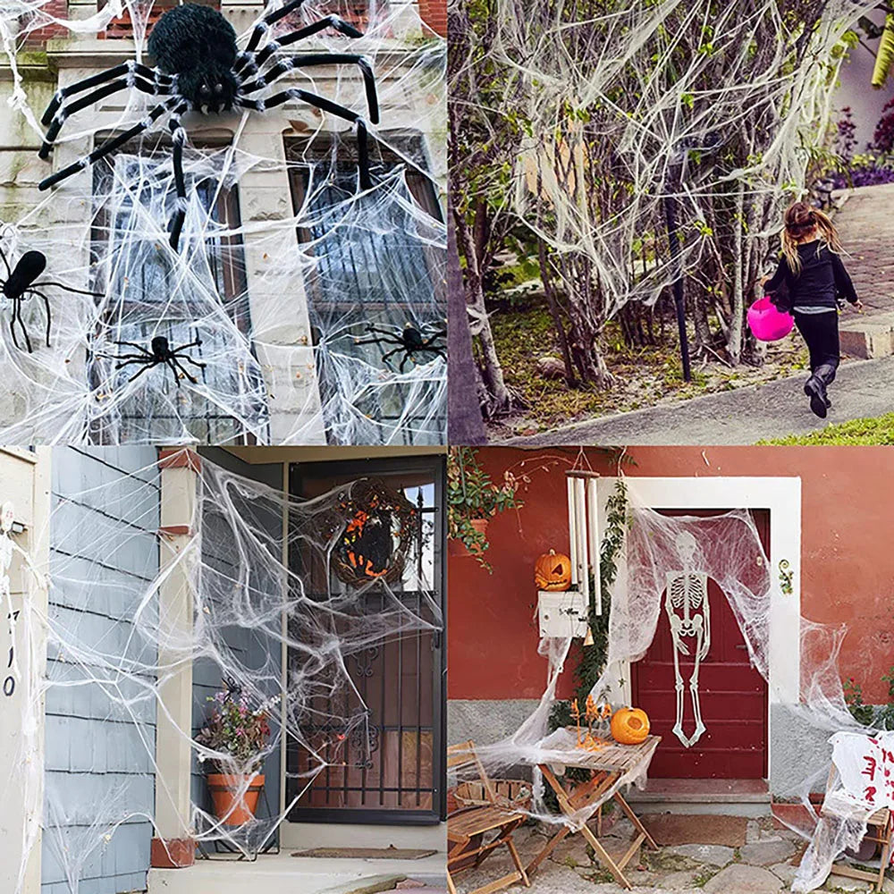 Spooky Spider Web